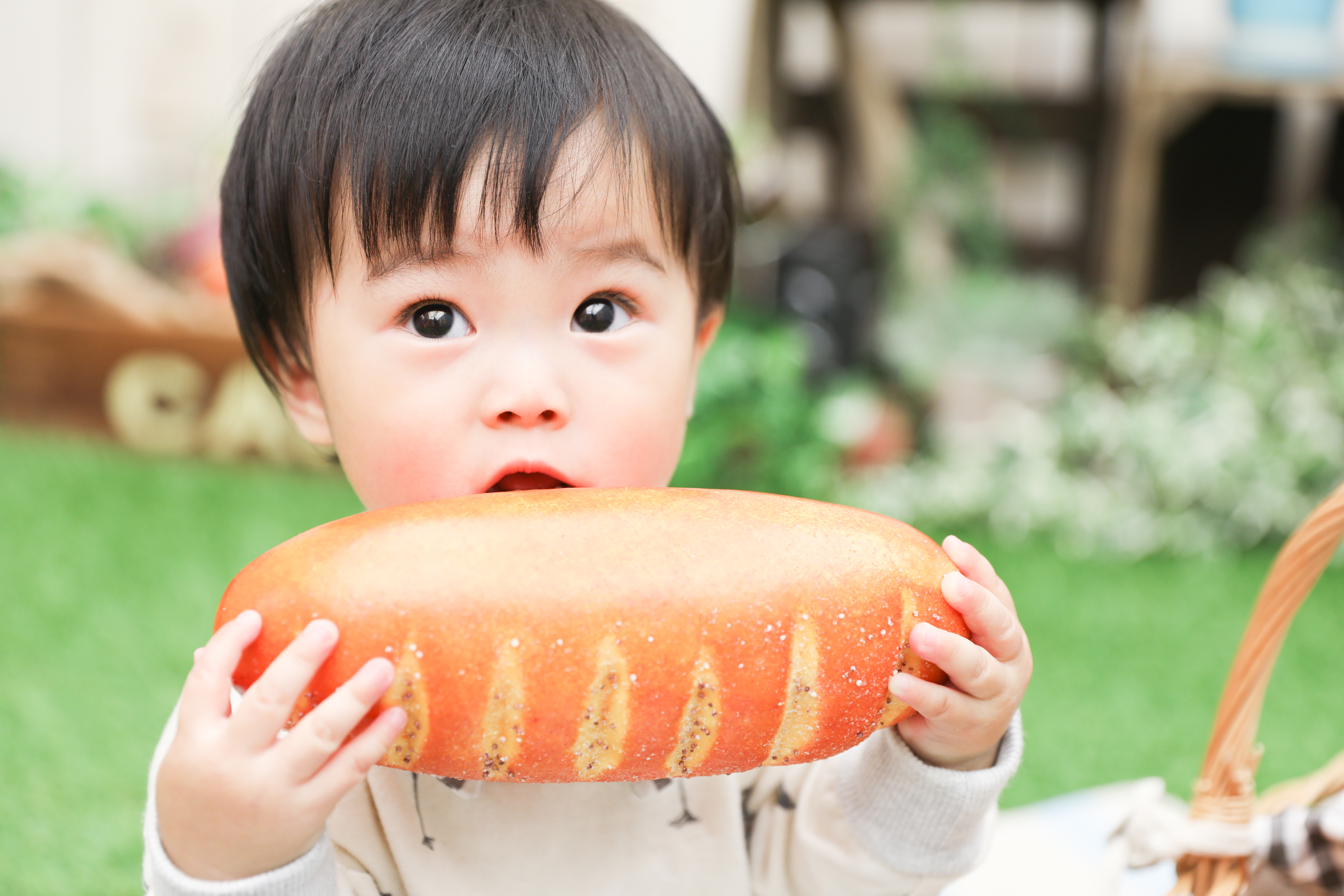 【バースデイ】１歳男の子