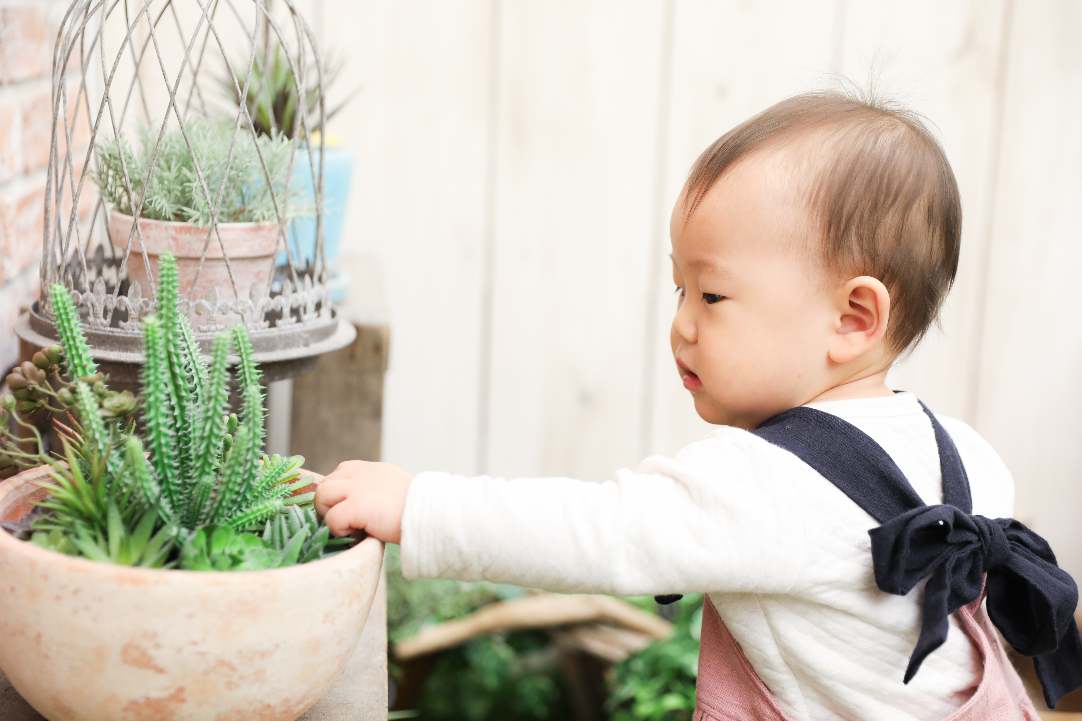 【バースデイ】１歳女の子